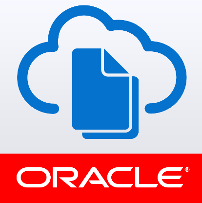 Oracle灾难救援+性能优化